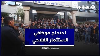 موظفو مركز الاستثمار الفلاحي بالجديدة يحتجون ضد القانون الأساسي ويطالبون الوزارة بالتدخل thumbnail