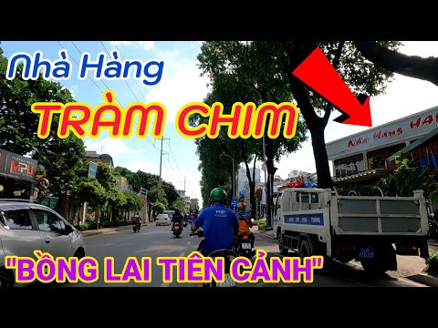 Liên Khúc ĐÈN ĐỎ Trên Đường ĐIỆN BIÊN PHỦ Quận 3 - Nhà Hàng TRÀM CHIM (Bồng Lai Tiên Cảnh) Đổi Tên