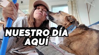 DÍAS EN LA MOBILE HOME CON MI PERRO (vida real) 🐕 Vlog283