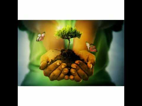 Amor de navajas Zulaim