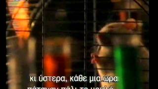 ΡΕΠΟΡΤΑΖ ΧΩΡΙΣ ΣΥΝΟΡΑ-Ο ΠΟΛΕΜΟΣ ΤΟΥ ΚΑΠΝΟΥ 1/4