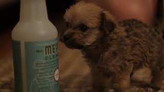 Musica Relaxante | Relax Music | Musica, Pensamento Positivo, Energia Dourada | #0137#