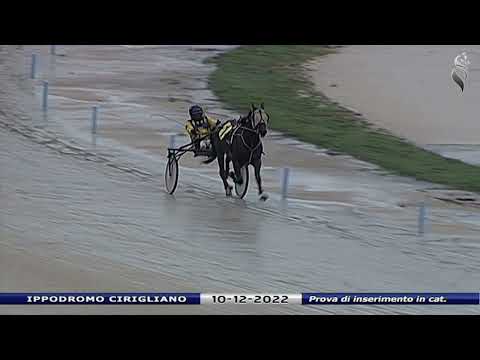Aversa trotto 10 Dicembre 2022 - Prova di inserimento in categoria
