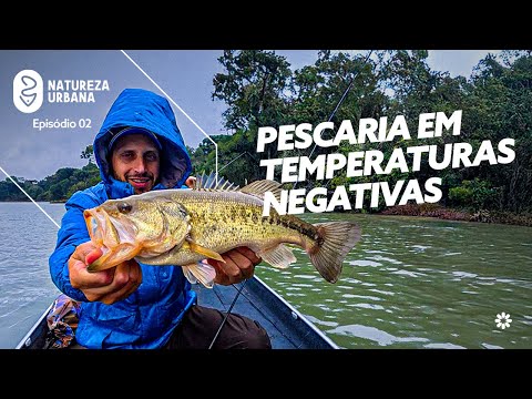 Black bass no inverno: pescaria intensa na Serra Catarinense | Natureza Urbana
