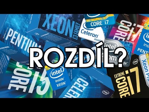 Jaký je rozdíl mezi šimpanzovým mozkem a lidským mozkem? - Zprávy 2026