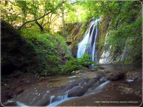 Fratii Budau vol 1 - Timpul nu asteapta dupa nimeni