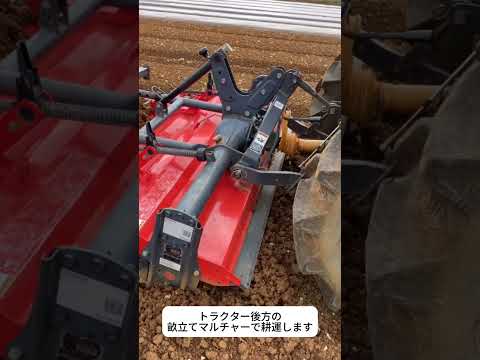 畝内局所施用