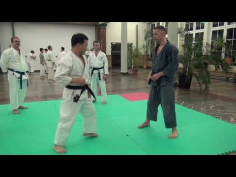 Karate Kobujutsu