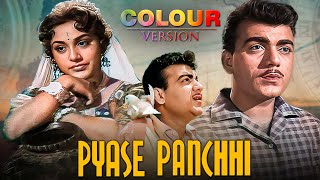 Download lagu प्यासे पंछी (1961) FULL MOVIE | COLOR VERSION | 60s की सुपरहिट मूवी | Evergreen Classic mp3