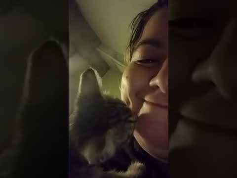 My cat licking my face