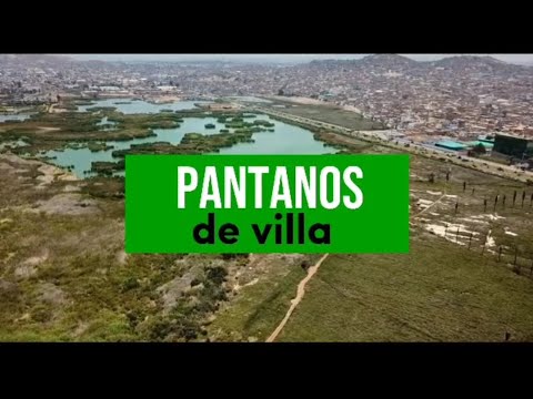 Pantanos de Villa, características, importancia, problemáticas ambientales y posibles soluciones