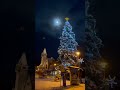 Beautiful Snow So Pure And White Snow Winter White Cold
