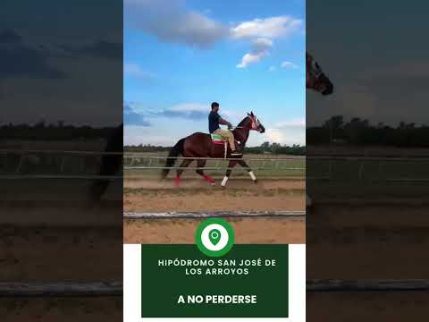 Hipódromo Municipal San José de los Arroyos - Presentación, La Positiva vs Tordillo Gomenez-20/05/25