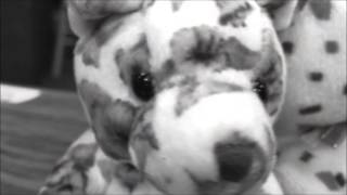 Sinister by Frankie Cosmos (Music Video)