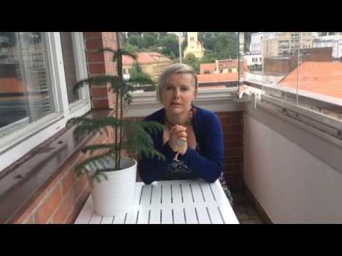 Zachraňte Vánoce autorce Dyjáře 2017