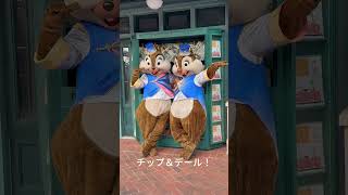 【上海ディズニー10周年】新コスチュームのチップ＆デールグリ🐿️💙 　Shanghai Disney 10th Anni. ✨ Chip & Dale's Adorable Greeting! 🐿️