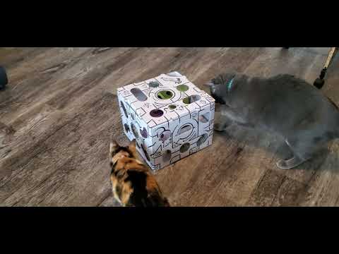 Unbiased Review Cat Amazing Sliders Puzzle Toy