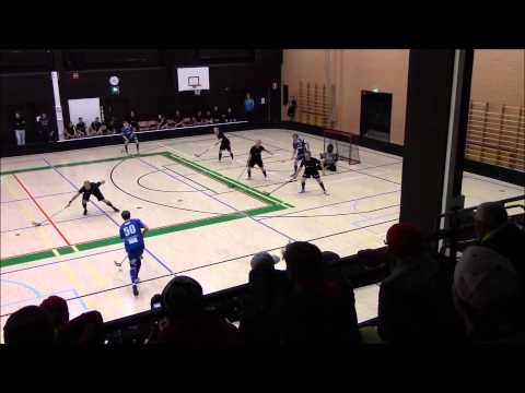 Maalikooste VehVe   LeBa 96  10 10 2014