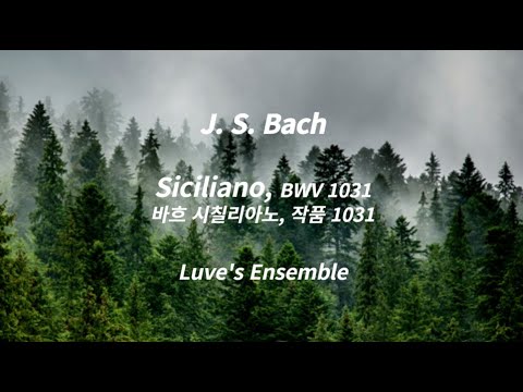 J.S.Bach Siciliano BWV 1031 l 바흐 시칠리아노 BWV 1031 l Classic Piano ㅣ힐링,공부,집중 음악ㅣ잔잔한 클래식 피아노 BGM