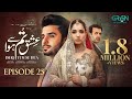Ishq Tum Se Hua Episode 25 Subtitles 26th May 2025 Fahad Sheikh Sukaina Khan Hassan Ahmed