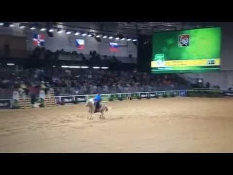 Johan Svensson HQ Rainbow Lee Mine