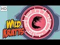 Wild Kratts 🎃 Creatures Come Out at Night! 👻 | Kids Videos