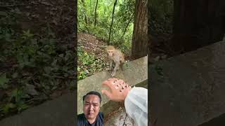 Download lagu My Hands Are Thorny #shorts #shortsfund #shortvideo #youtubeshorts #feedshorts #bebsdeta mp3