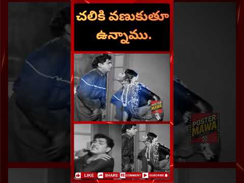 చలికి వణుకుతూ ఉన్నాము. #viralvideo#anr  #actors #funny #trending #comedyshorts#telugu#collectionking