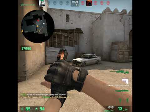 CALLYMANSAM TURNS TO CSGO PRO