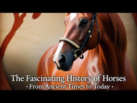 The Fascinating History of Horses: From Ancient Times to Today