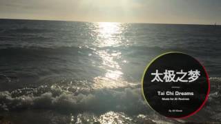 Tai Chi Dreams by Alf Klimek