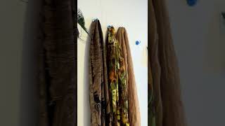 Monkeys In My Cruise Cabin!