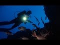 gefährlicher Nachttauchgang | Marsa Shagra | Tauch-Vlog #16 | #abgetaucht, Hausriff Marsa Shagra, Ägypten