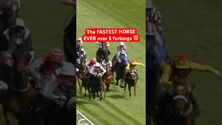 Download lagu THE FASTEST HORSE EVER OVER FIVE FURLONGS 😮🚀 #horse #epsomdowns #horserace #horseracing mp3 Download lagu THE FASTEST HORSE EVER OVER FIVE FURLONGS 😮🚀 #horse #epsomdowns #horserace #horseracing mp3