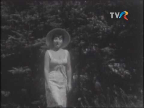 Gigi Marga - Poiana cu flori