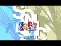DATA SELECT SCREEN 1 HOUR EXTENSION - Sonic 3