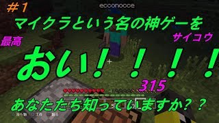 【マイクラ】久しぶり！！マッソーエッコンクラフト開始ぜよ！！＃１