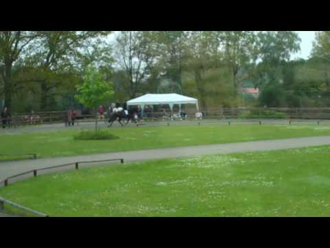 Kronshof-special - V1-VE - www.isibless.de