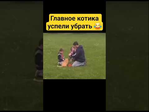 Это абсолютно шедевр 😂 #юмор #смешнойшортс #прикол #мемас #кот #смешновидео #котик