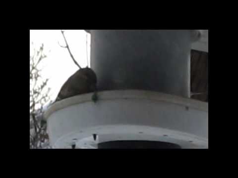 Oxelosund Restauracja U Jedrusia.wmv