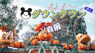 ディズニーランドダウンタウンのハロウィーンどんな感じ?歩いてみました【秋の様子】パンプキンの飾りandミッキーちゃん