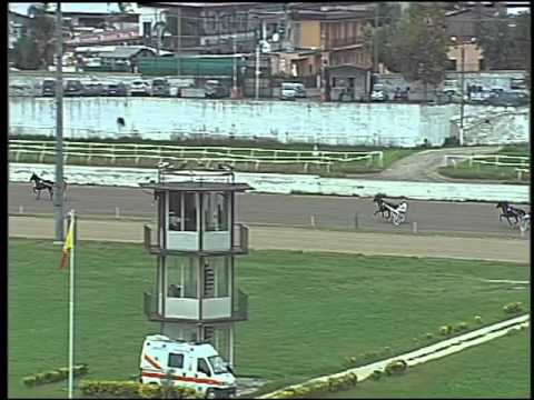 Trotto 22/10/2015 - 2° prova di qualifica