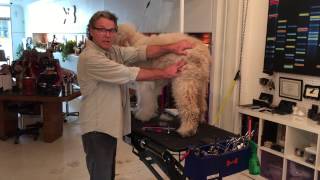 FurMaster Grooming 101(Before)