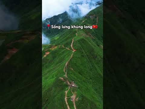 Cảnh Sống Lưng Khủng Long