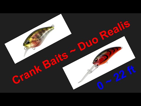 Crankbaits Duo Realis series