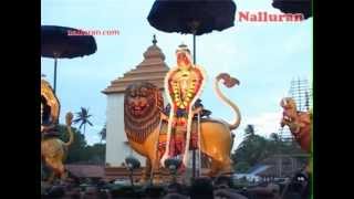 preview picture of video 'Nallur Kandaswamy Temple festival 2012 day 16 pm'