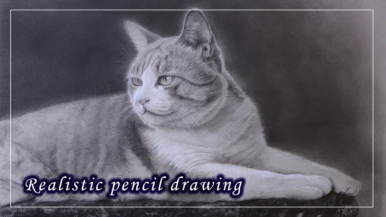 【鉛筆画】ネコの描き方「デッサン・drawing・スケッチ・写実・細密画」