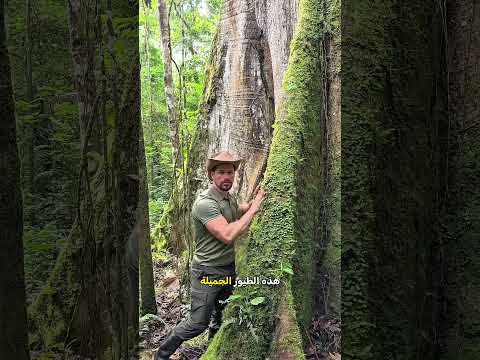 إنسانية هذا الرجل ستجعلك تبكي! 🌲🥺