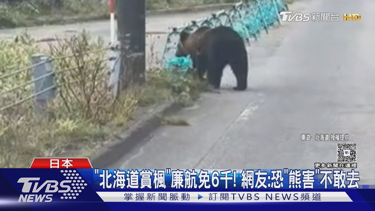日機票價格直直落 北海道札幌6000元有找 遊客憂熊害