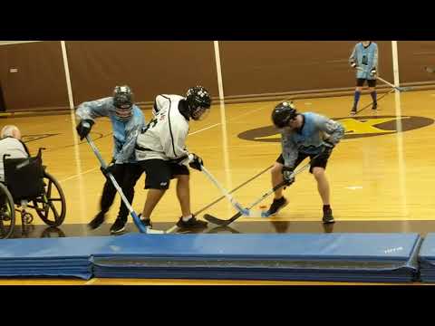 6 - Mpls vs Dakota 02/12/20